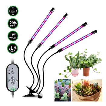 Фитолампа для растений LED Grow Light USB Полный спектр управления Растениями Рассада Цветок Коробка для выращивания в помещении Зажимная лампа Теплица Палатка